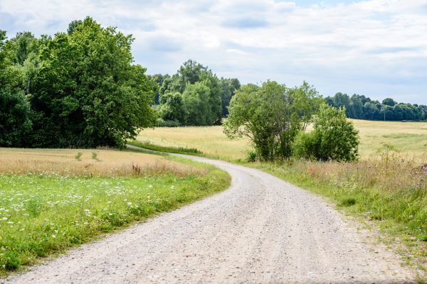 Cost of Stone Driveway Repair in Manassas