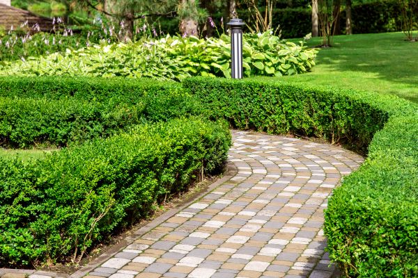 Cost of Paved Landscaping in Manassas