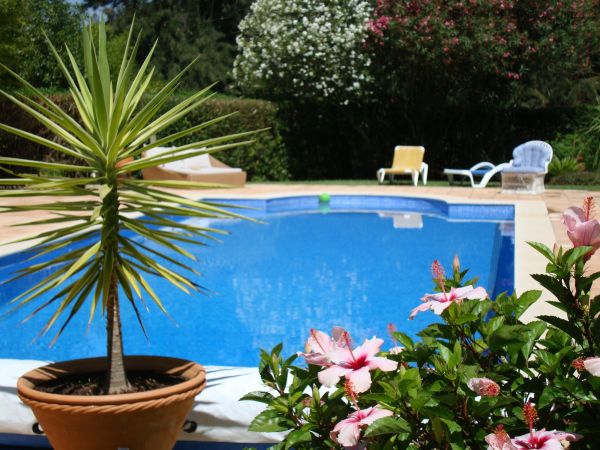 Cost of Pool Terrace Renovation in Manassas