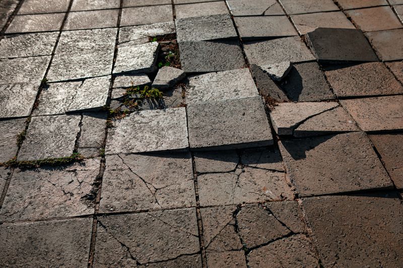 Paver Repair Services